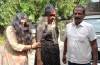 Udupi: Attempt to steal gold chain at Ambalpady Temple; two women arrested